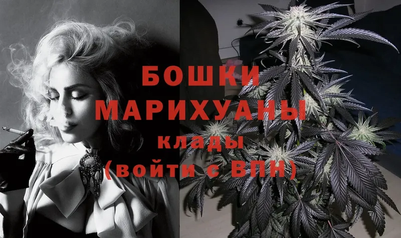 Бошки марихуана White Widow  наркошоп  Белокуриха 